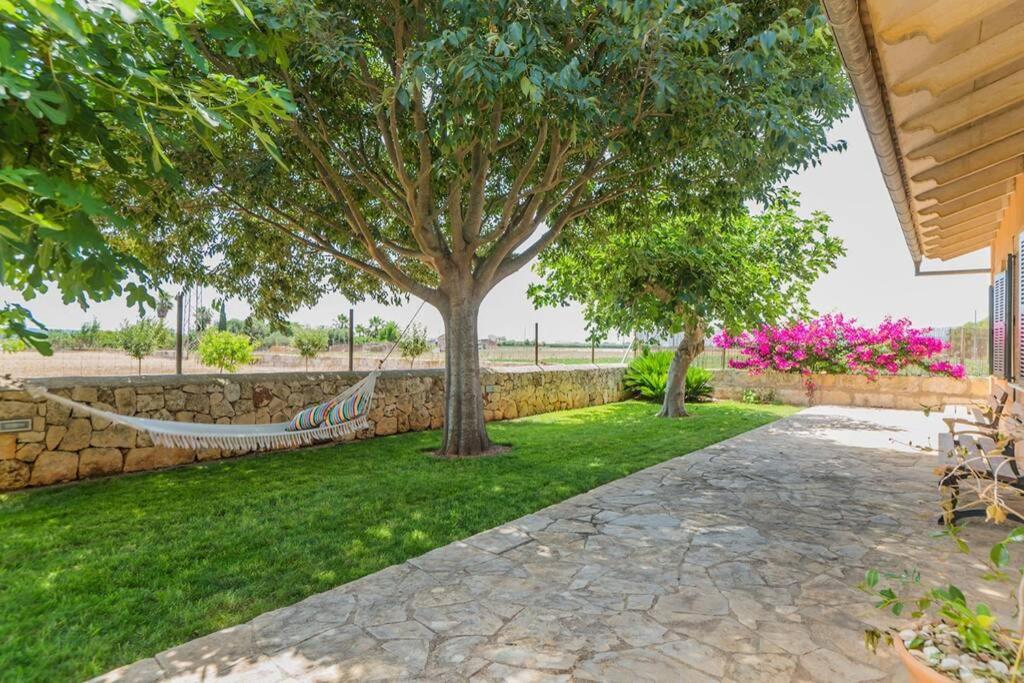 Finca Amer Sa Pobla Luaran gambar