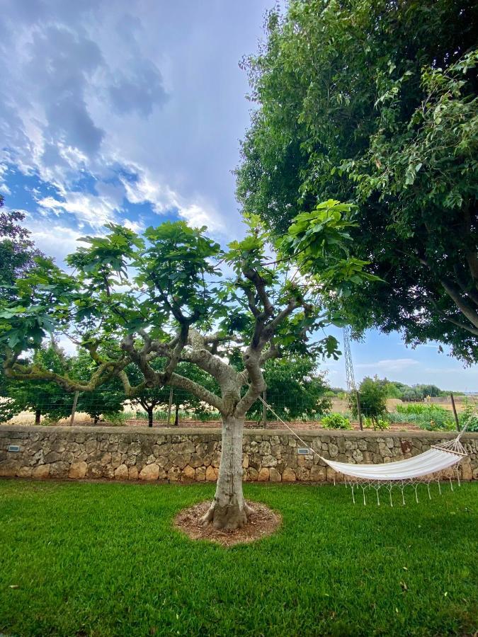 Finca Amer Sa Pobla Luaran gambar